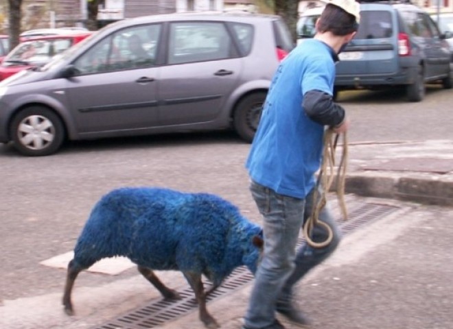 inter-enil-2014 (94)